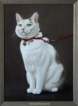 Lize Tijsmans-Tel, poes, inlijsten
